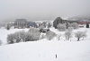 DSC_8901-1.jpg