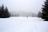 DSC_9026-1.jpg