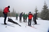 DSC_9028-1.jpg