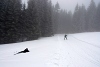 DSC_9030-1.jpg