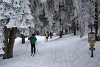 DSC_9114-1.jpg