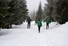 DSC_9115-1.jpg