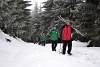 DSC_9119-1.jpg