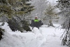 DSC_9130-1.jpg