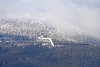 DSC_9137-3.jpg