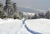 DSC_9159-1.jpg