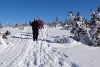DSC_9168-4.jpg