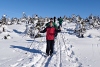 DSC_9168-5.jpg