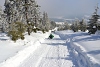 DSC_9174-1.jpg
