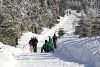 DSC_9176-1.jpg