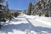 DSC_9182-1.jpg