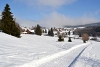 DSC_9217-1.jpg