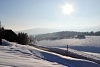 DSC_9248-1.jpg