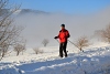 DSC_9261-1.jpg