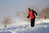 DSC_9268-1.jpg