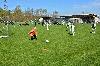 D71_6501.jpg