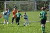 D71_6519.jpg