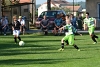 D71_7905.jpg