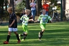 D71_7910.jpg