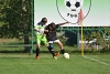 D71_7930.jpg