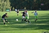 D71_7970.jpg