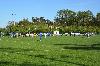 D71_6861.jpg